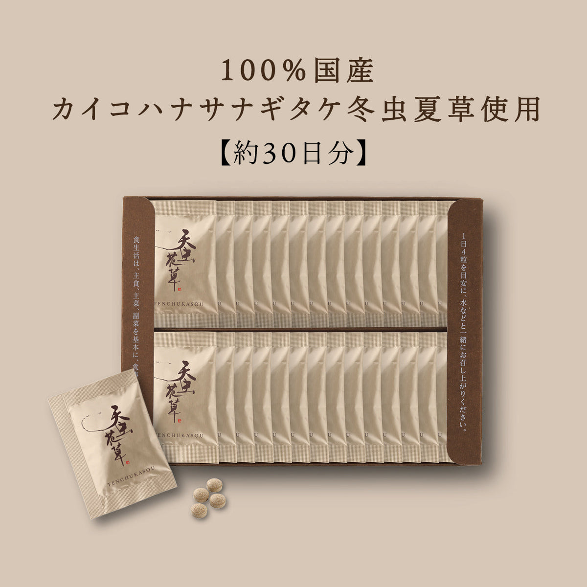 【中古】 冬虫夏草/幻冬舎/竹内海南江 冬虫夏草ハンドブック 新訂』盛口満著他 - 田舎の本屋さん